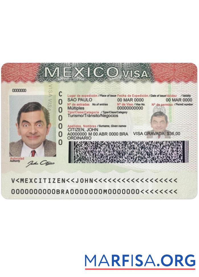 Printable Mexico visa example